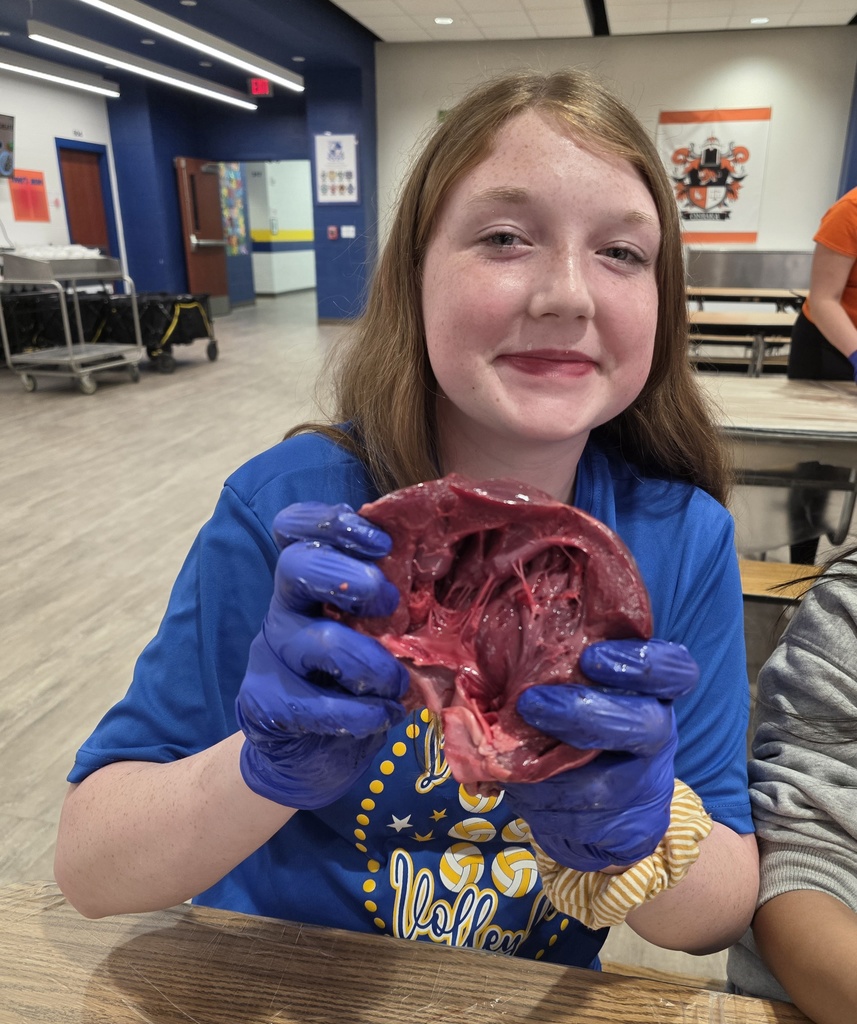 HeartandLungDissection