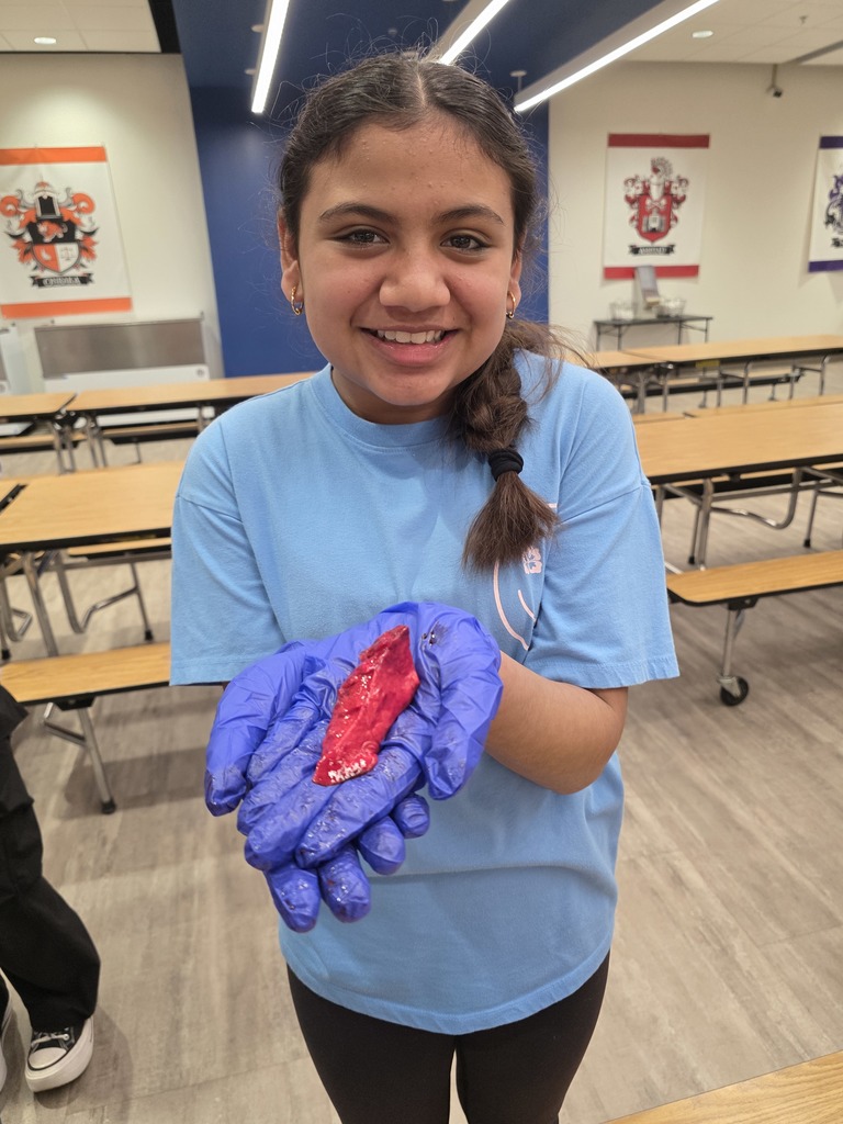 HeartandLungDissection