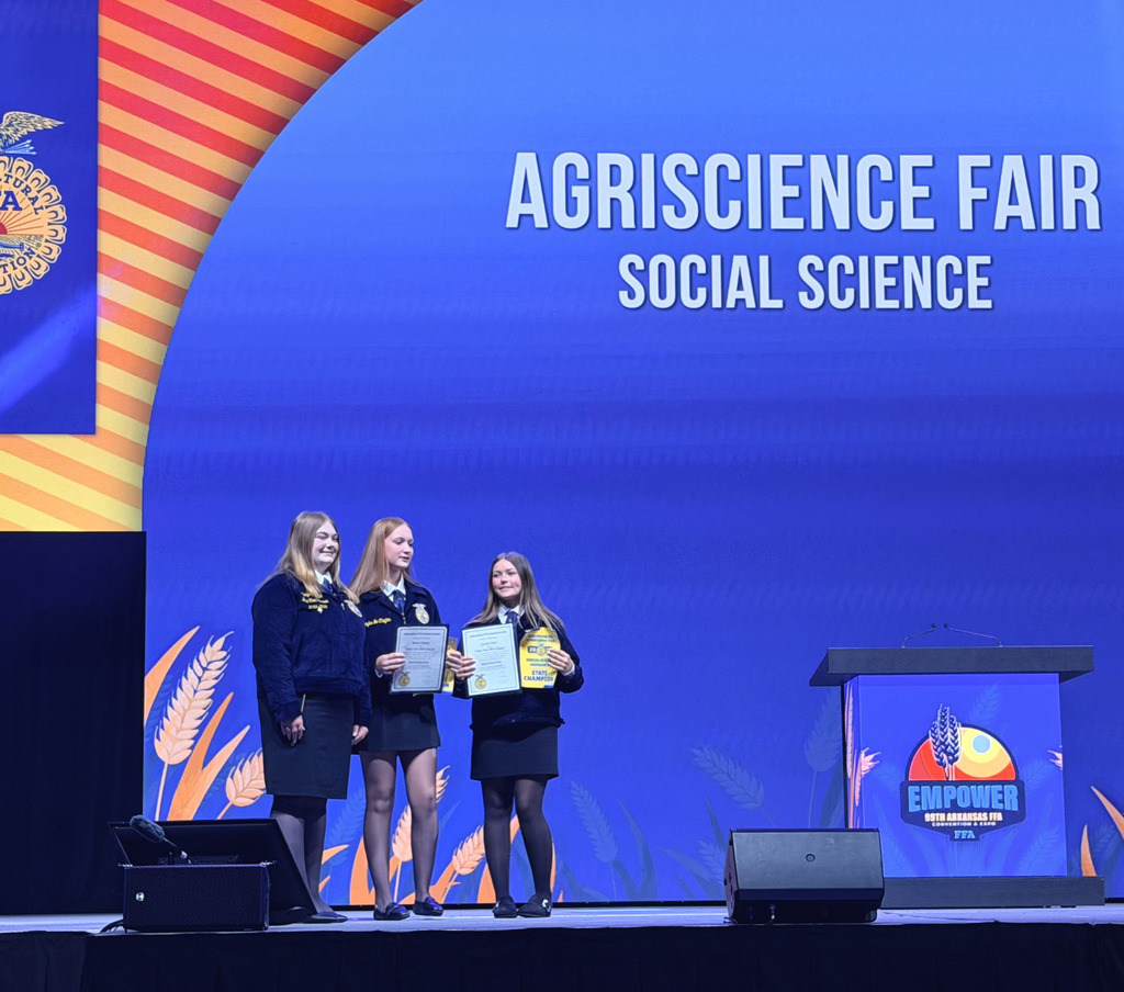 winners on stage receiving their award