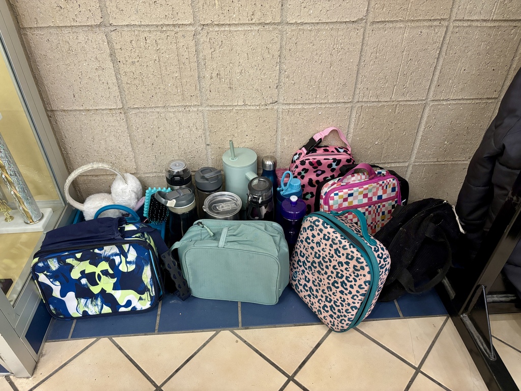 pic of lunch bags and water bottles 