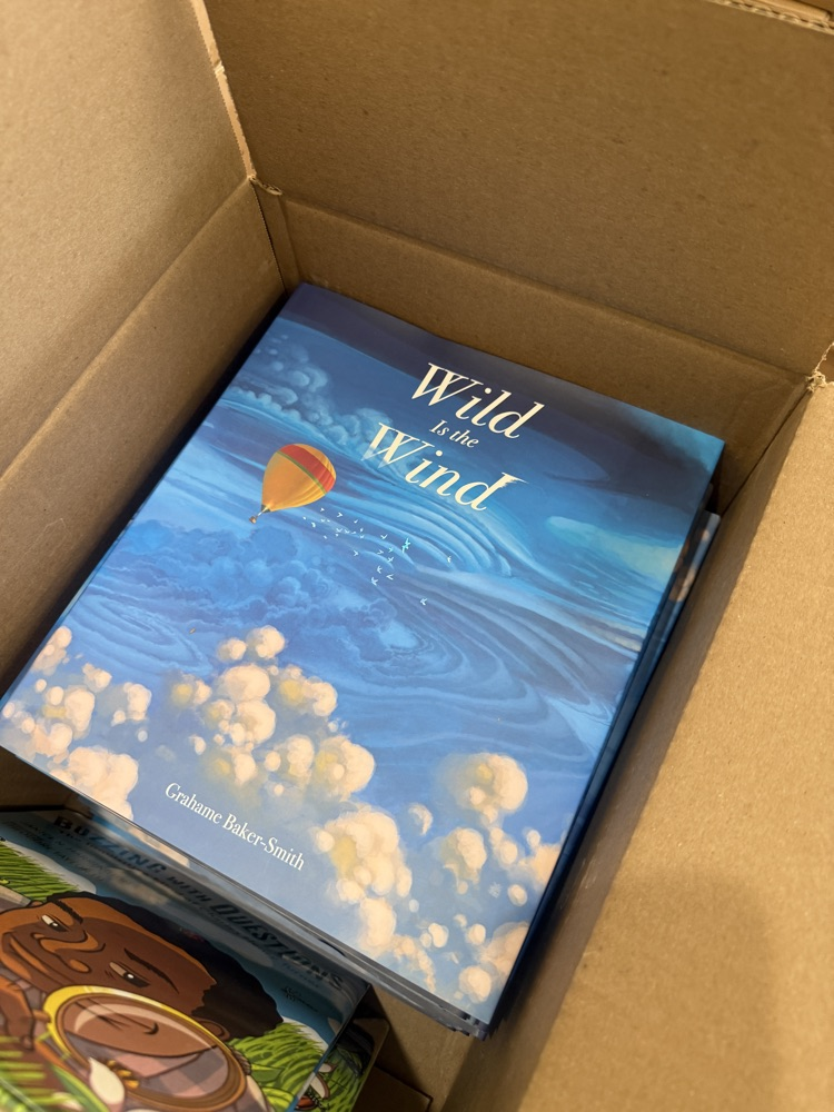 Book Cover 4