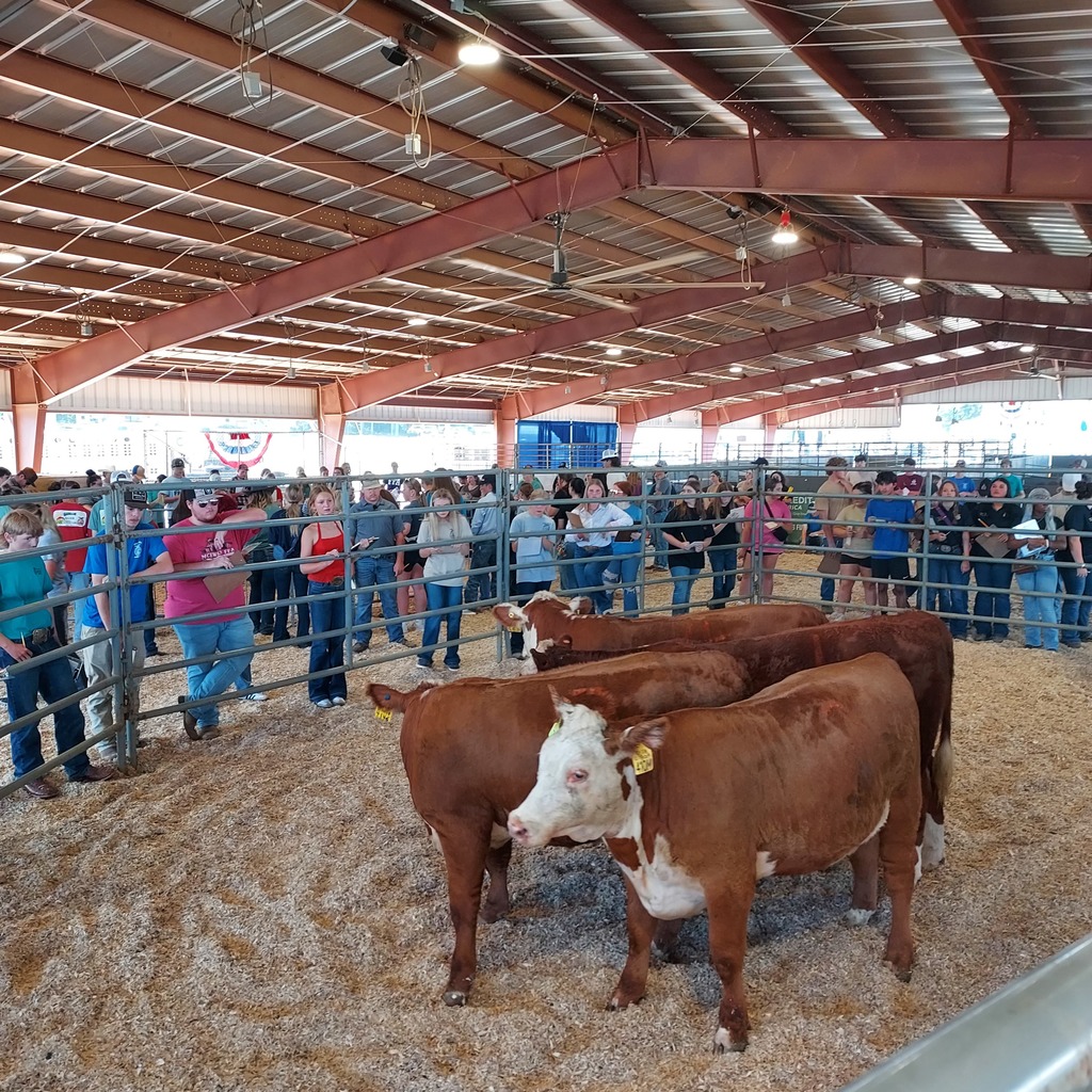 Tennessee State Fair