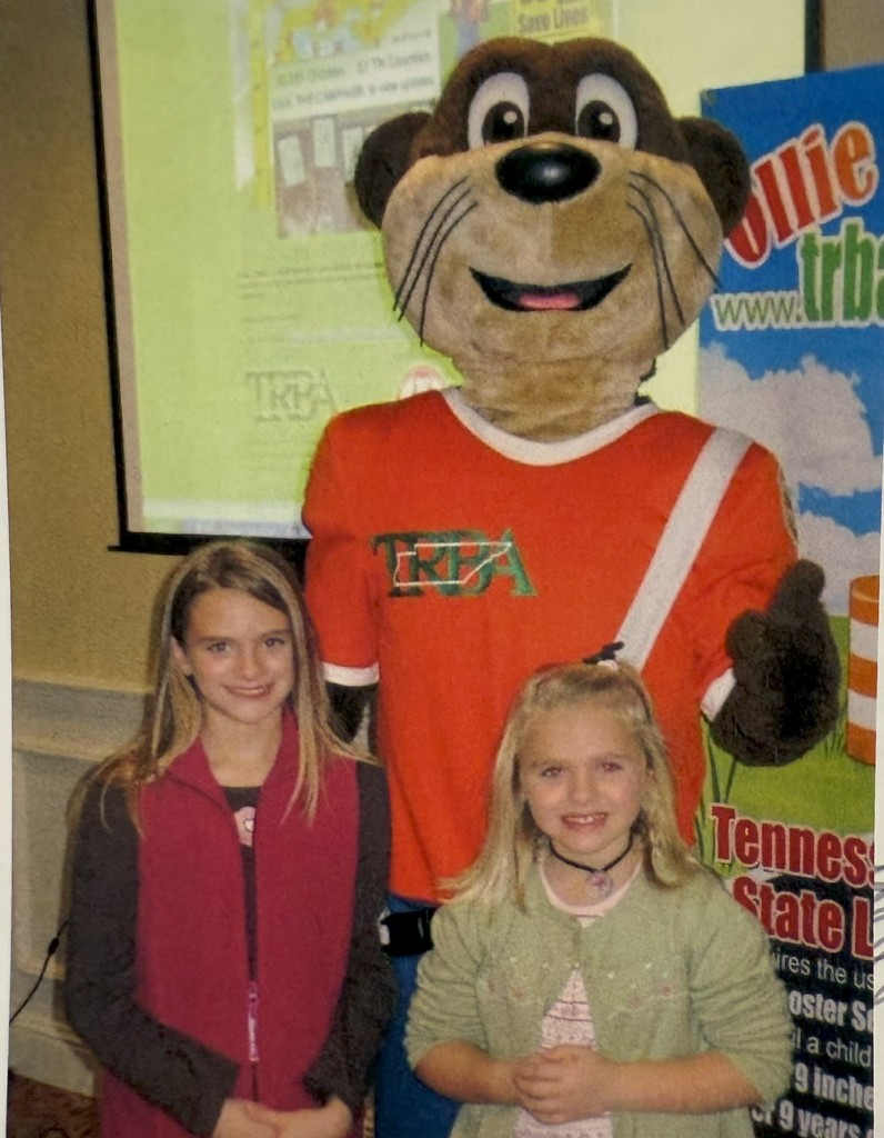 2008-09 SES