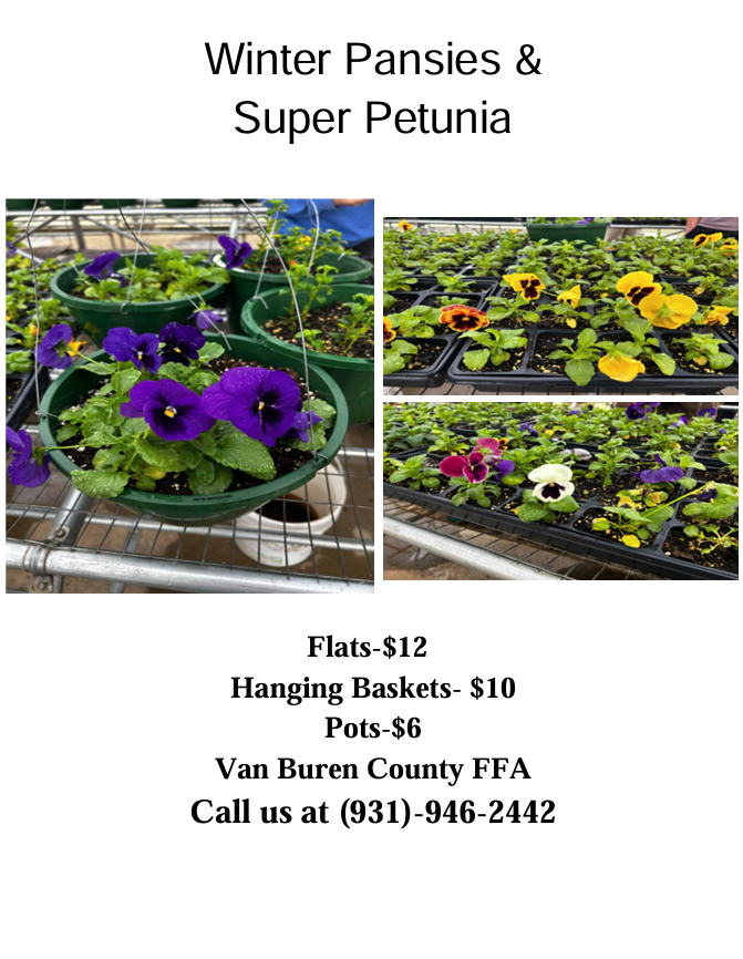 FFA Plant Sale Winter Pansies & Super Petunia Flats $12 Hanging Baskets $10 Pots $6
