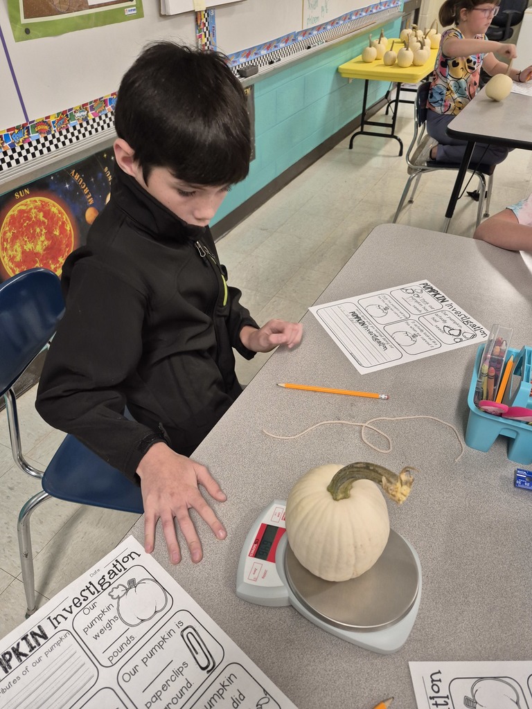 3rd Grade Pumpkins