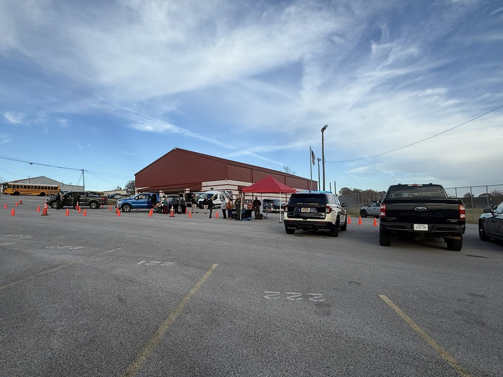 Car Seat Safety Check