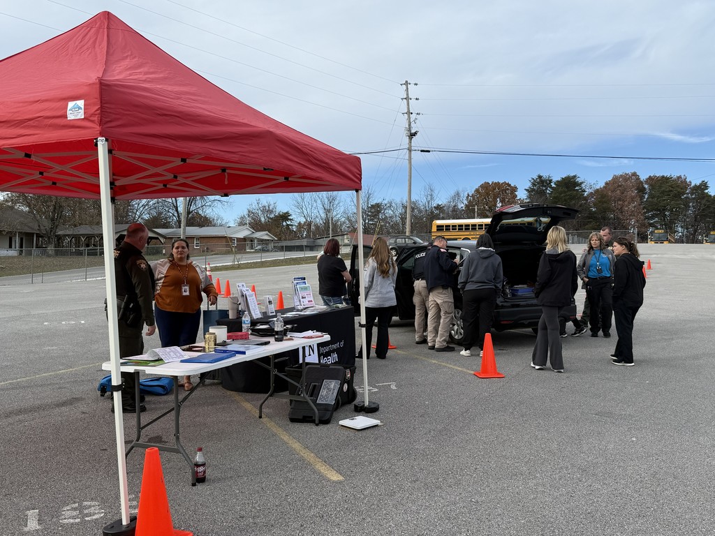 Car Seat Safety Check
