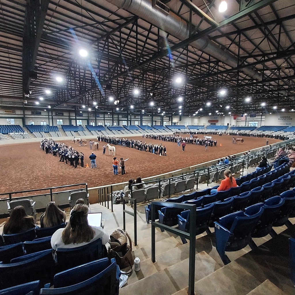 State Horse Judging