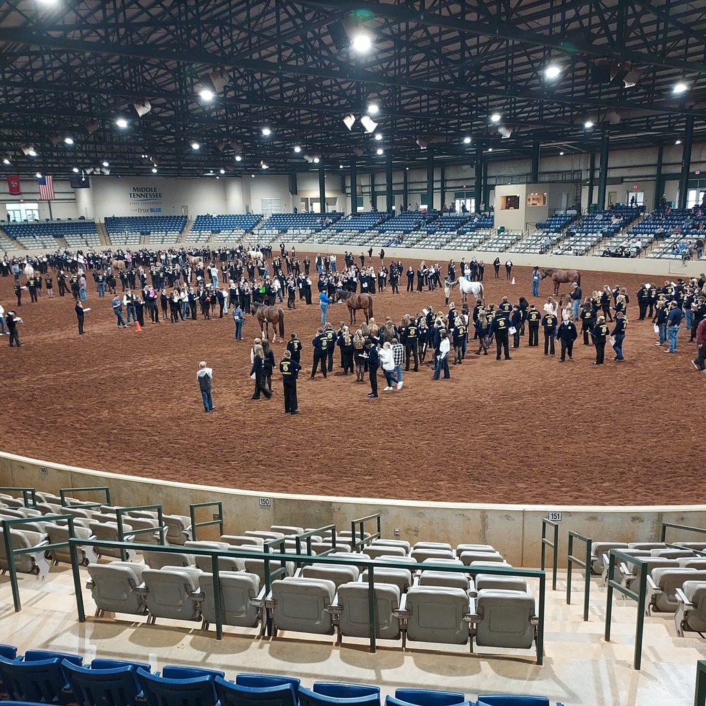 State Horse Judging