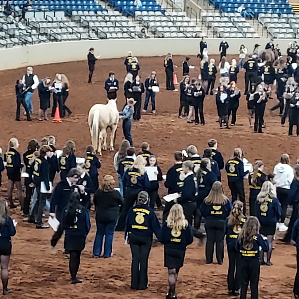 State Horse Judging
