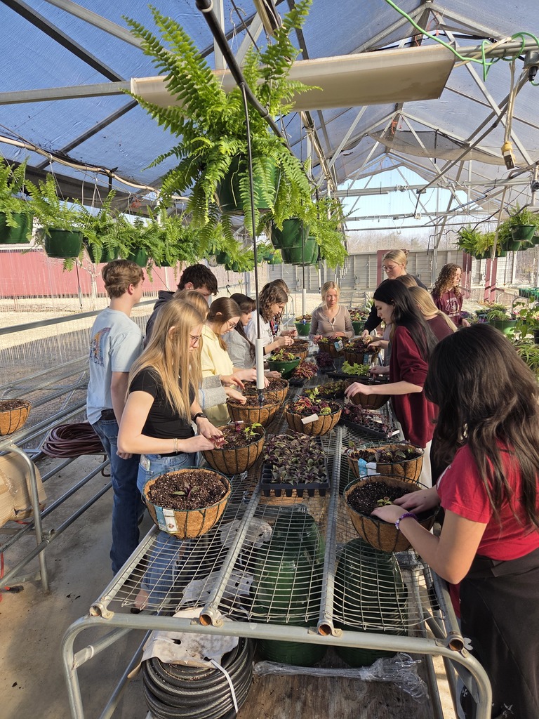 a group of students preparing plants for hanging baskets in a greenhouse at VBHS