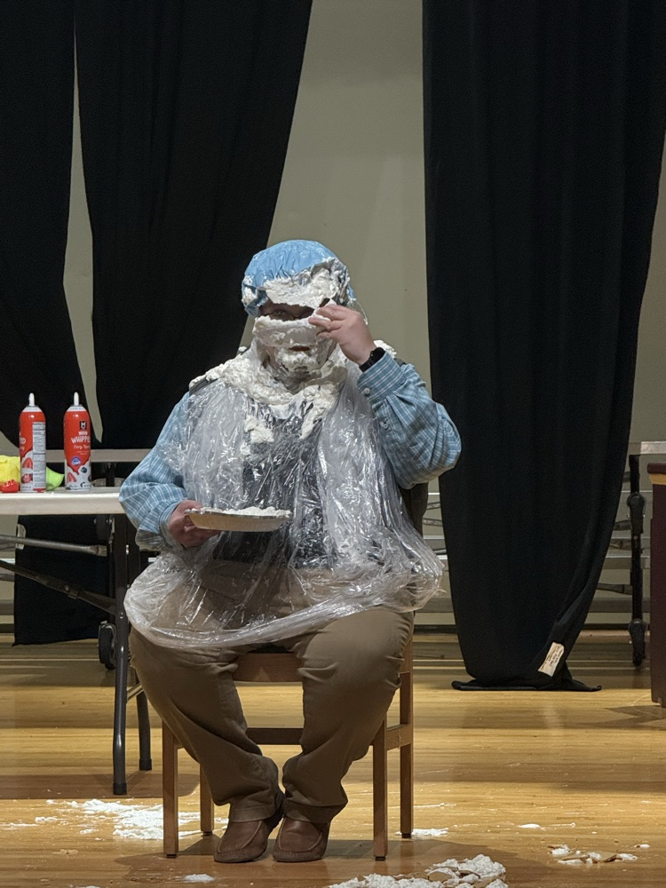 pie in the face