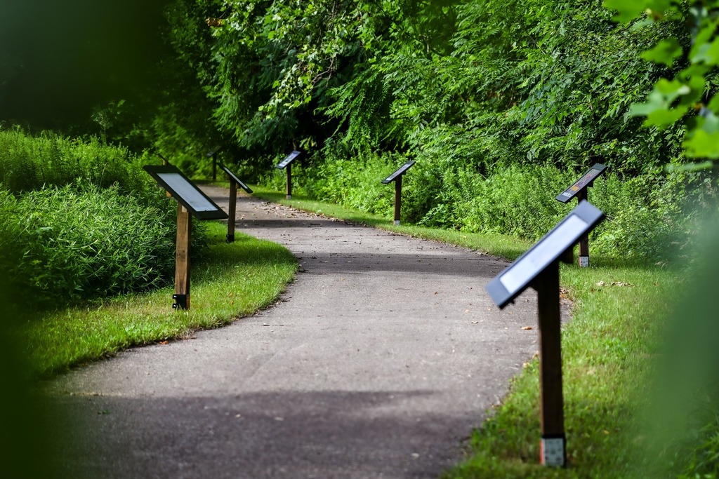 photo of a curviing pavement through wooded area with a lot of green trees and signs with books attached to the top