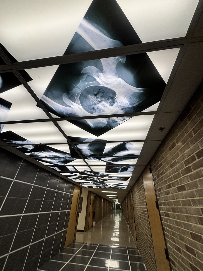 x rays decorate the ceiling at WCC