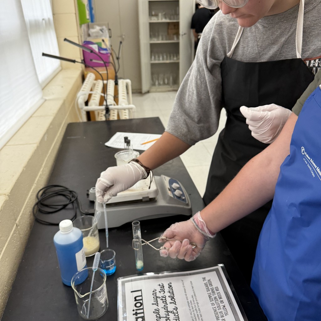 lab1