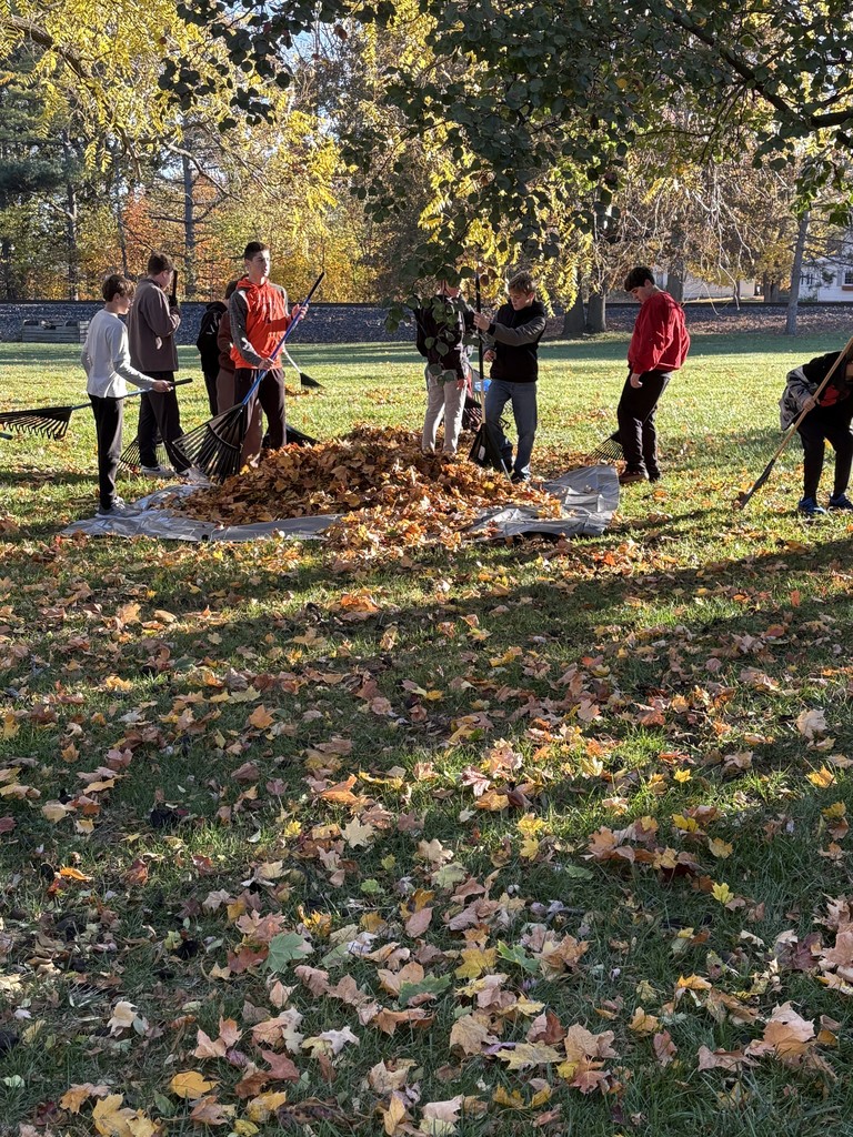 Group of students raking leaves on tarp