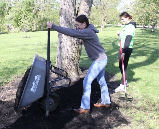 mulch