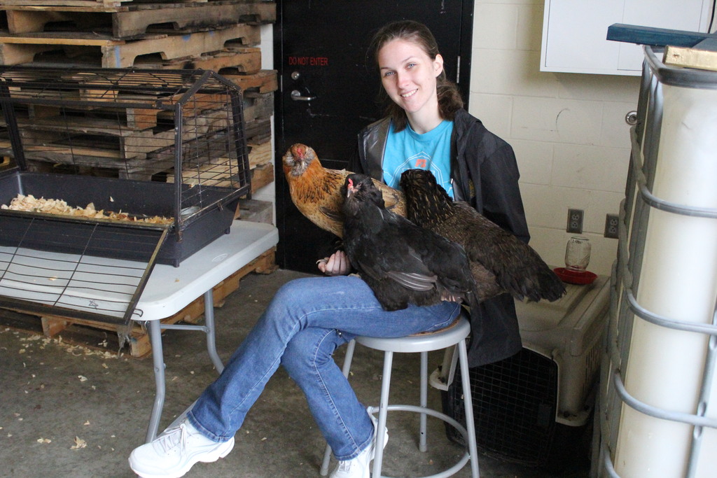 An agriculture education student holds three chickens.