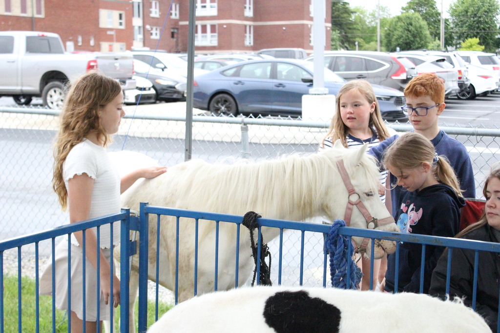 Elementary students pet a pony.