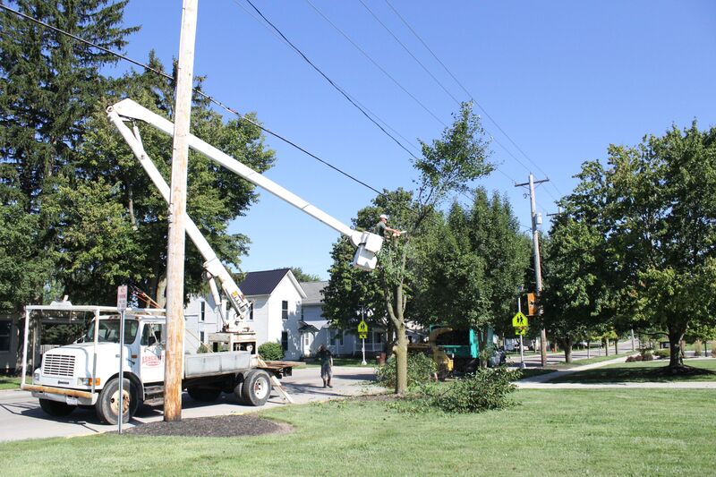 A picture showing the removal of trees in front of the school to accommodate the new electronic sign that will be installed in the near future.