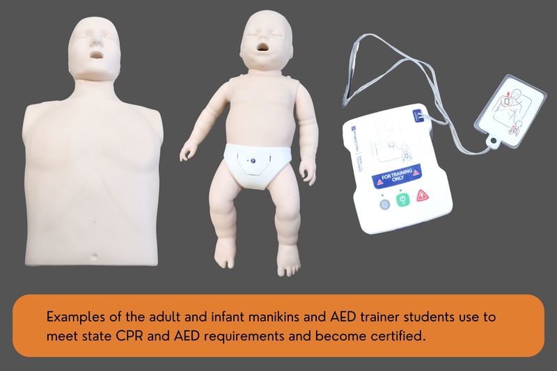 Examples of the adult and infant manikins and AED trainer students use to meet state CPR and AED requirements and become certified.