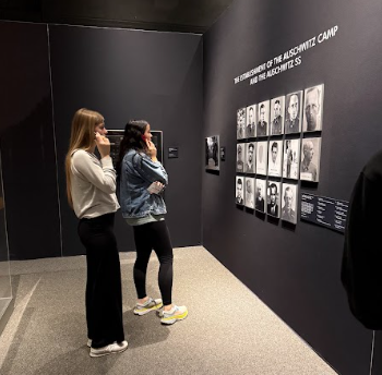 Students in Ms. Burden's Holocaust class view a display on their trip to the Nancy & David Wolf Holocaust & Humanity Center in Cincinnati.