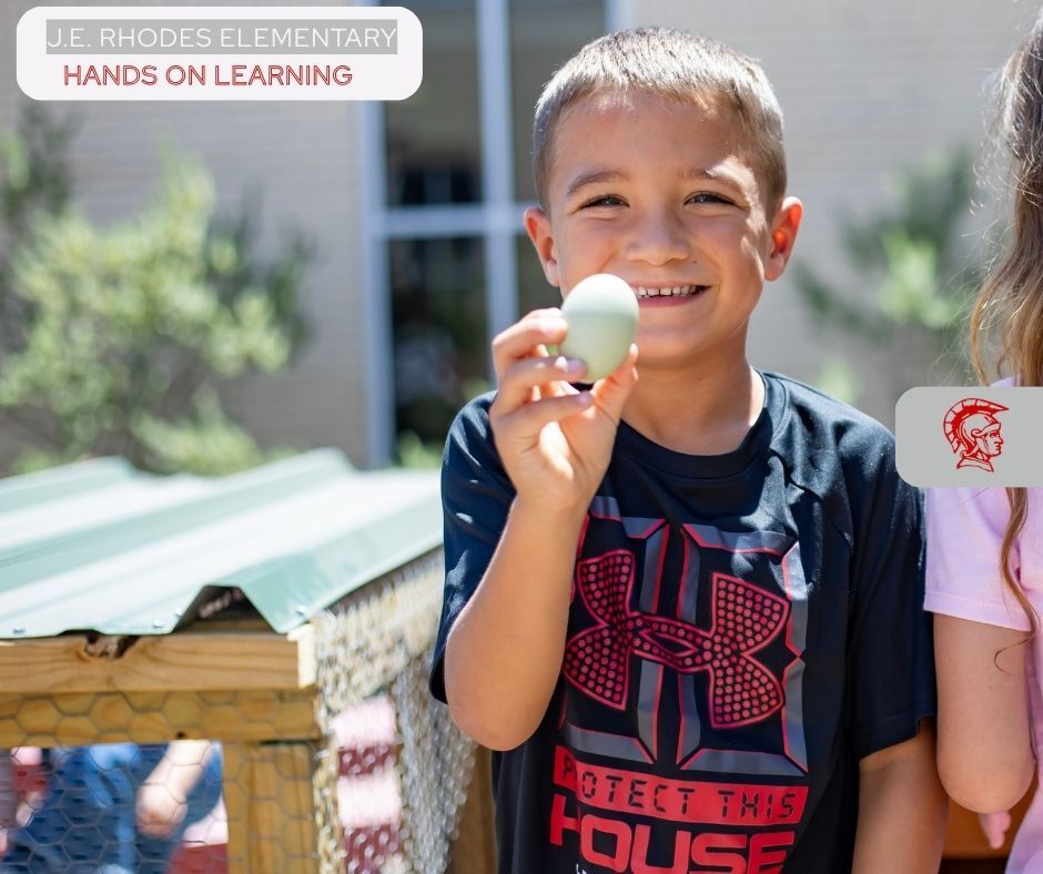 boy holding chicken egg