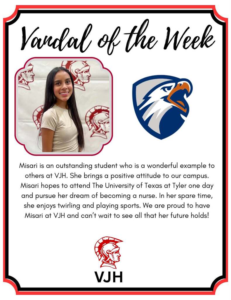 VANDAL OF THE WEEK 