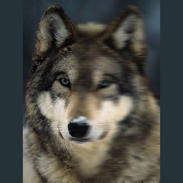 student artwork blur
