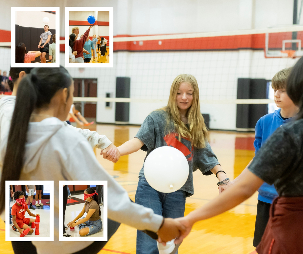 students in a gym playing games