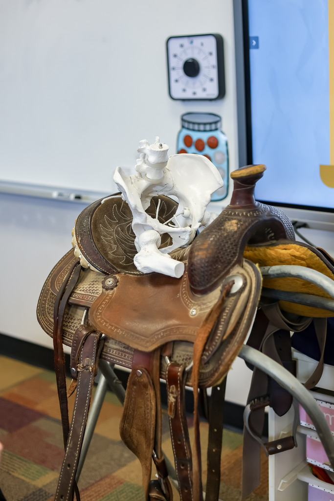 Shanna Wiggins bone presentation in 1st grade classroom