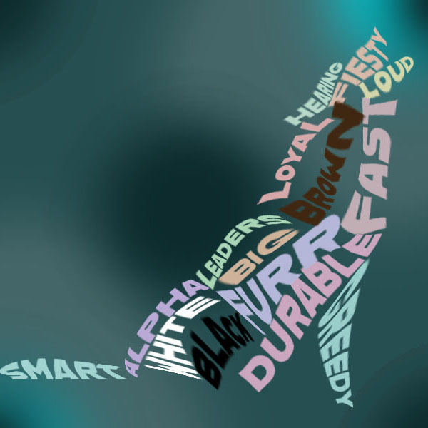 student art