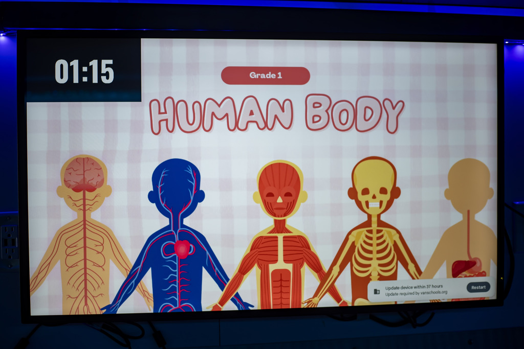GRADE 1 HUMAN BODY