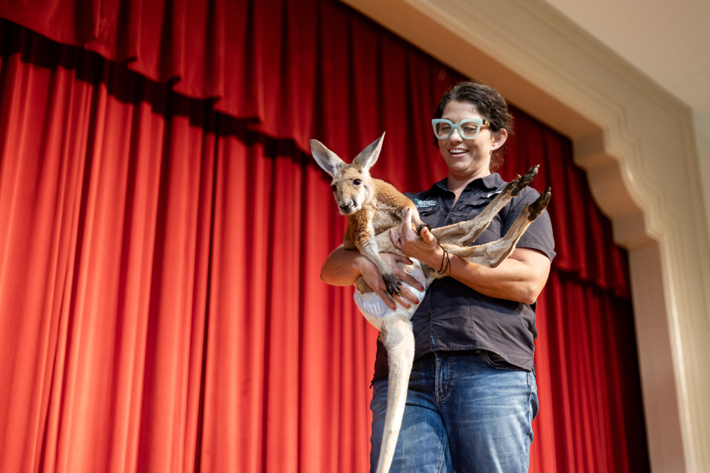 Creature Teacher at JER 