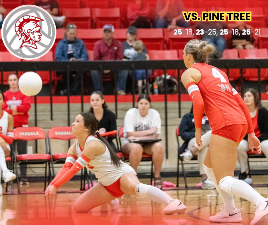 vs. Pine Tree 