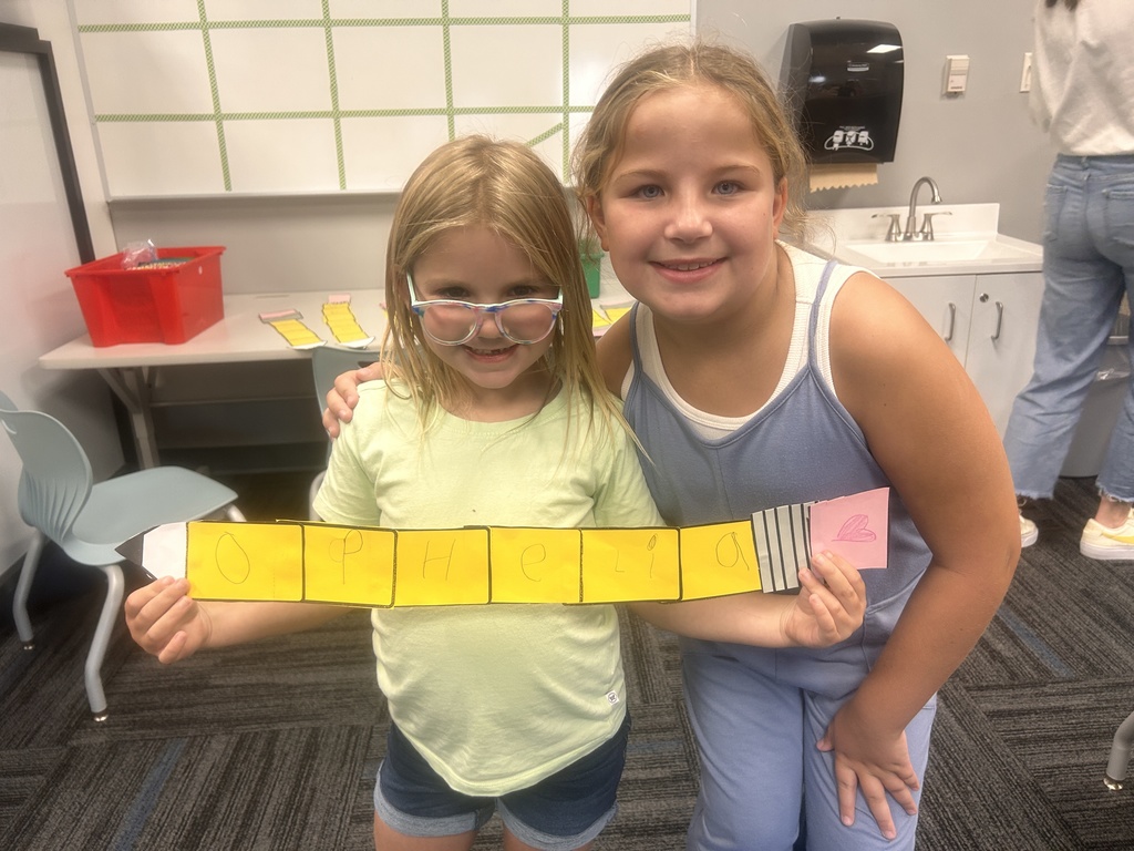 Elementary Buddy Classes