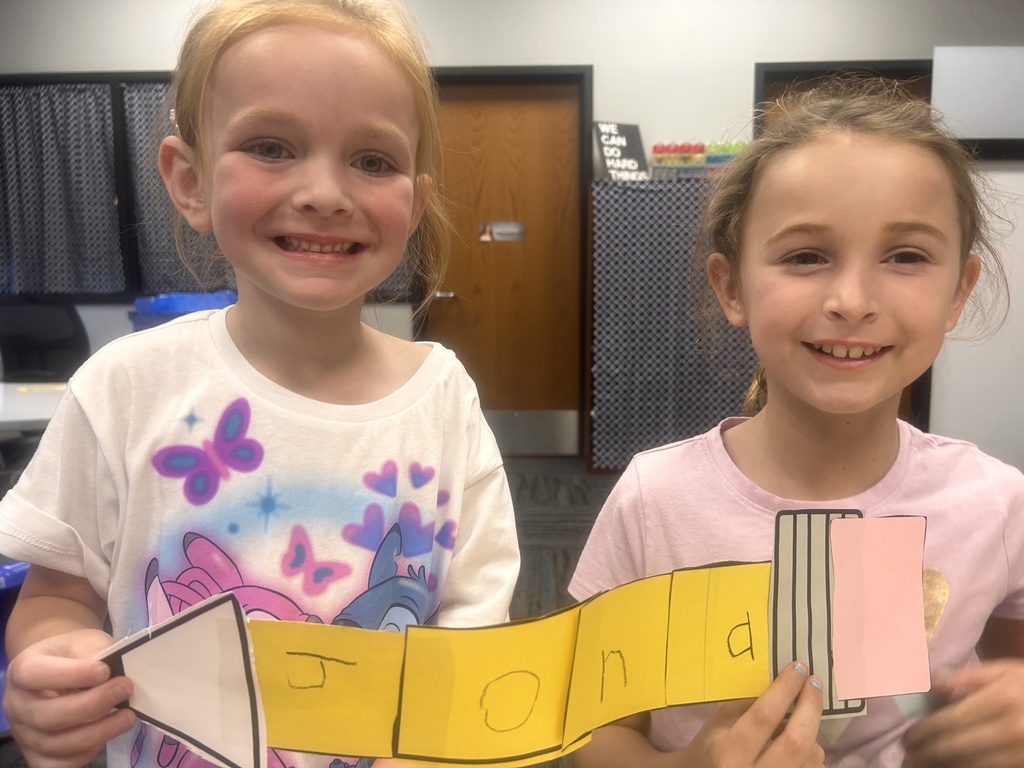 Elementary Buddy Classes