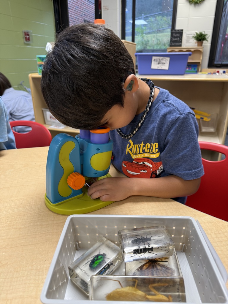 Preschool