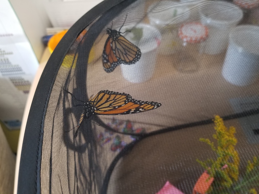 Two monarch butterflies in a cage