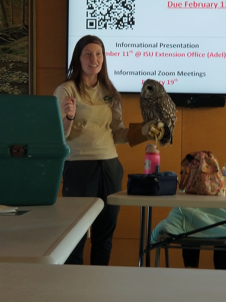 A demonstration with an owl