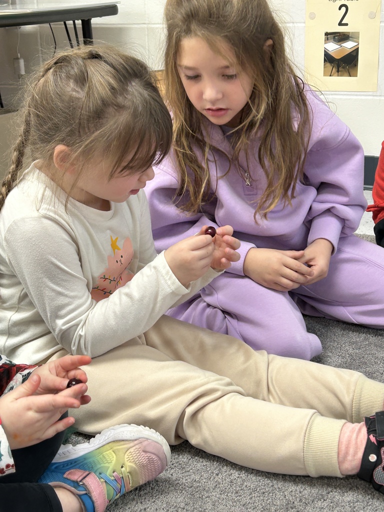 Two young girls sitting on a carpeted floor, one in a white shirt and beige pants holding a cranberry, the other in a purple tracksuit watching closely.