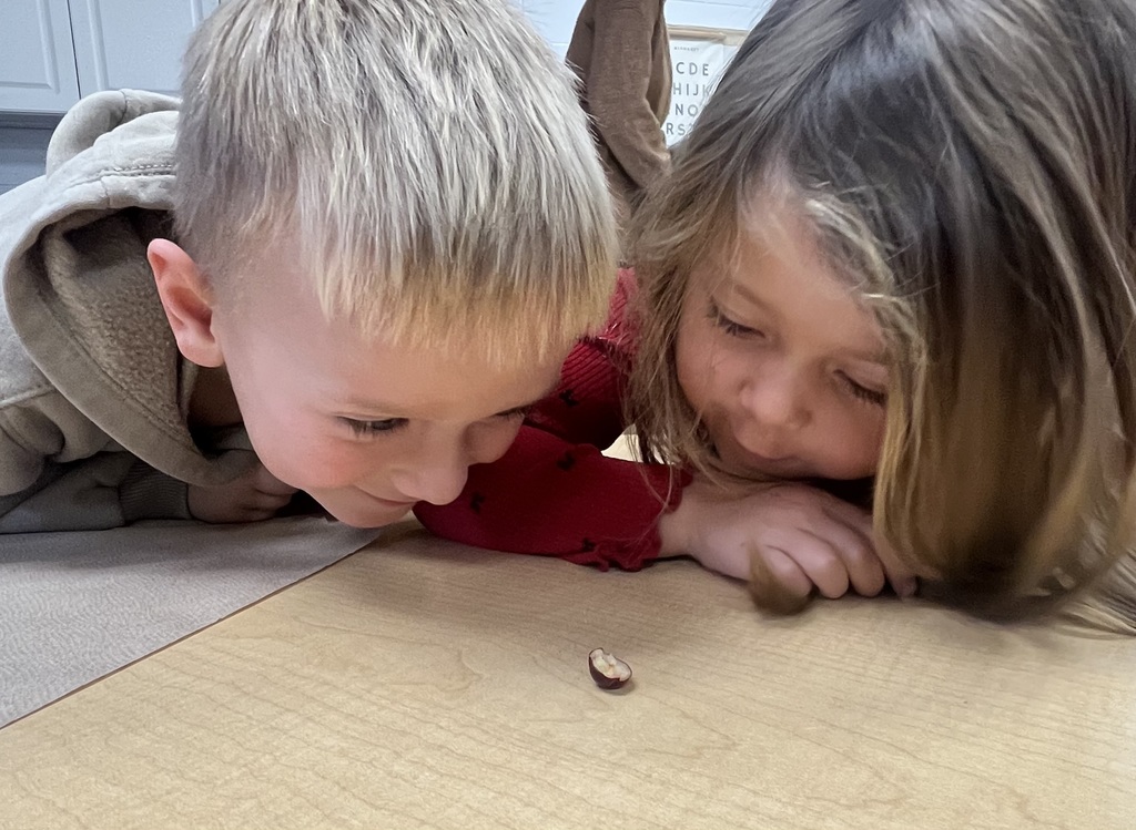 Two young students looking closely as a cranberry on the table.