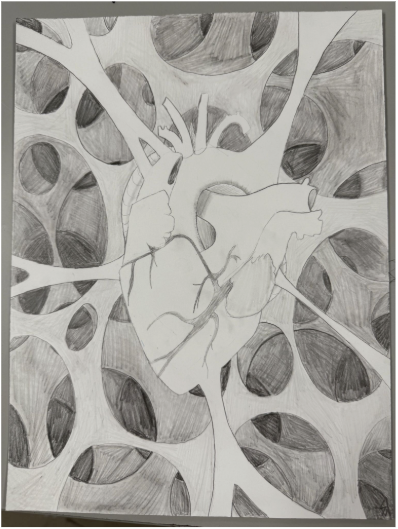 Detailed pencil sketch of a human heart surrounded by abstract, organic shapes with shaded circular patterns in the background.