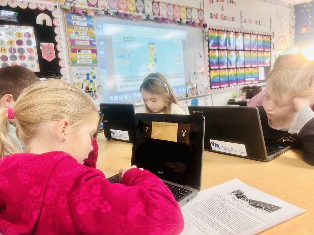 Four students working at their laptops. We can see the computer screen of the girl in a pink sweatshirt.