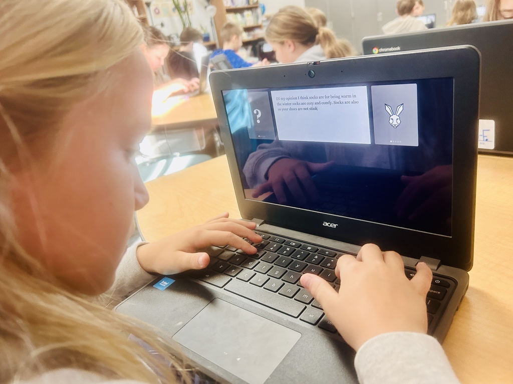 Students working at their laptops. We can see the computer screen of the girl in a gray sweatshirt.