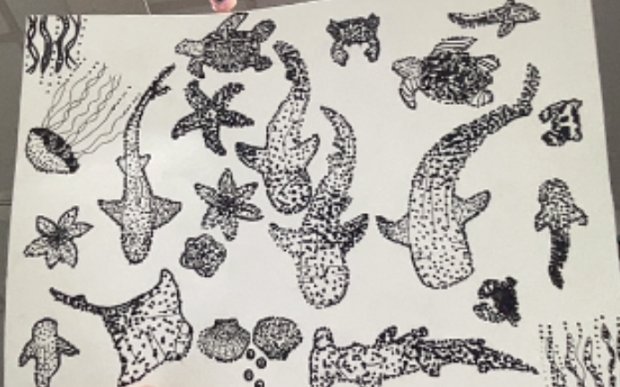 Detailed black ink drawings of various marine animals including sharks, starfish, turtles, and jellyfish on white paper.