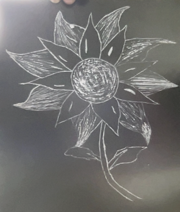 Chalk drawing of a sunflower with detailed petals and a textured circular center on a dark surface.