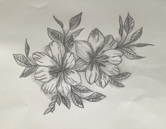 Detailed pencil sketch of two large flowers surrounded by multiple leaves on a plain background.