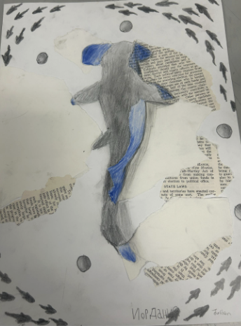 Hand-drawn shark with blue accents swimming among torn newspaper clippings and small fish silhouettes on a white background.