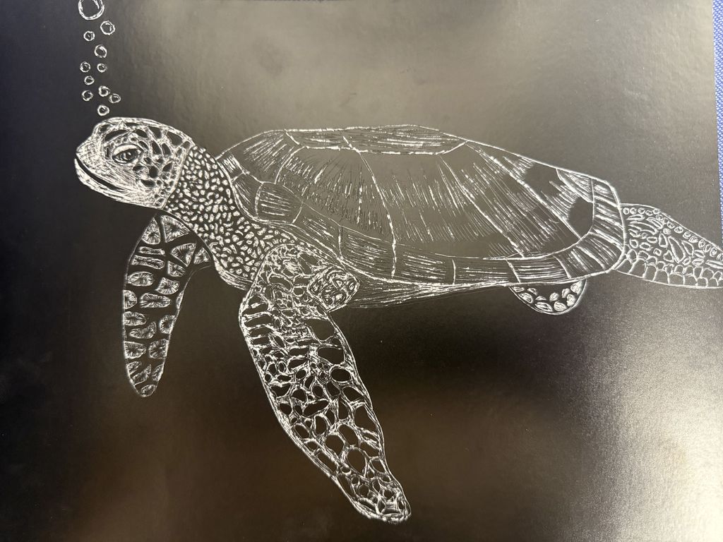 Detailed white line drawing of a sea turtle swimming with bubbles on a black background.